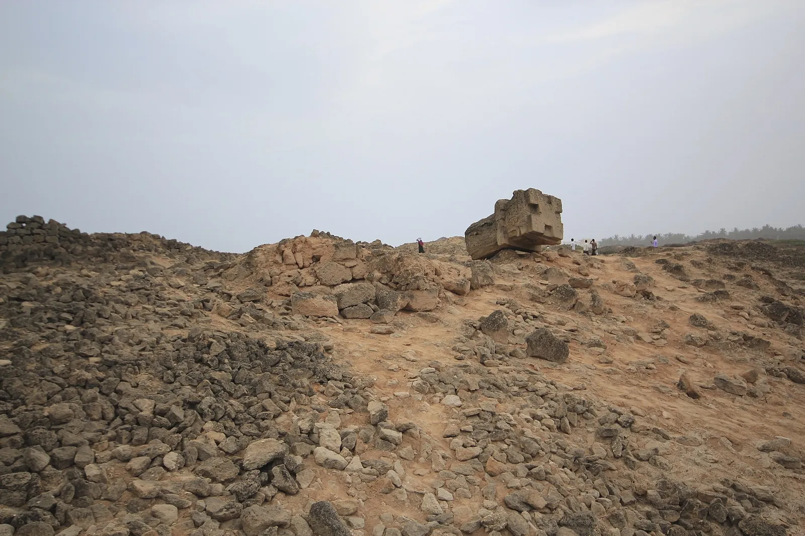 البليد