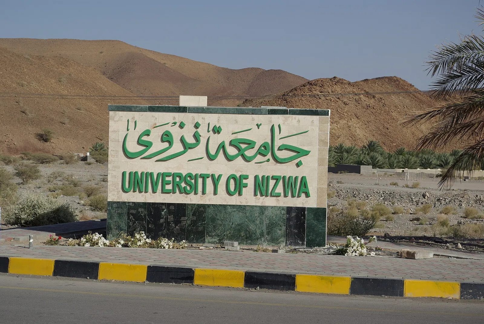 دانشگاه نزوا