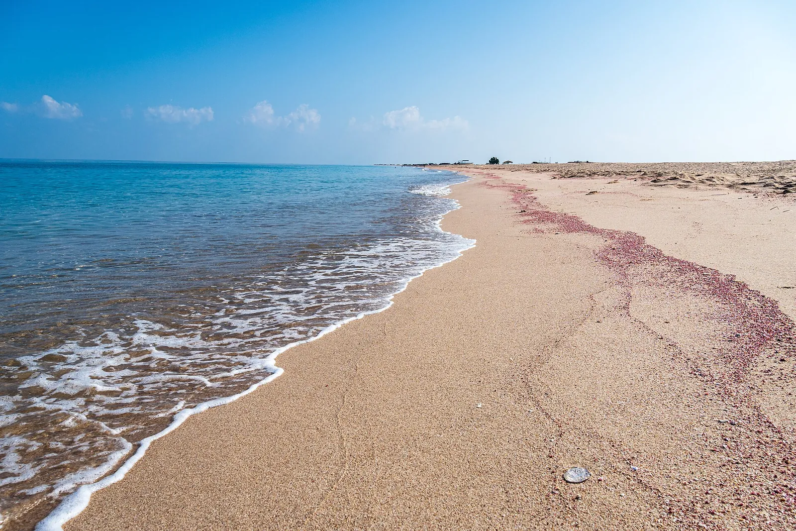 ساحل راس الحد (ویکی‌مدیا)