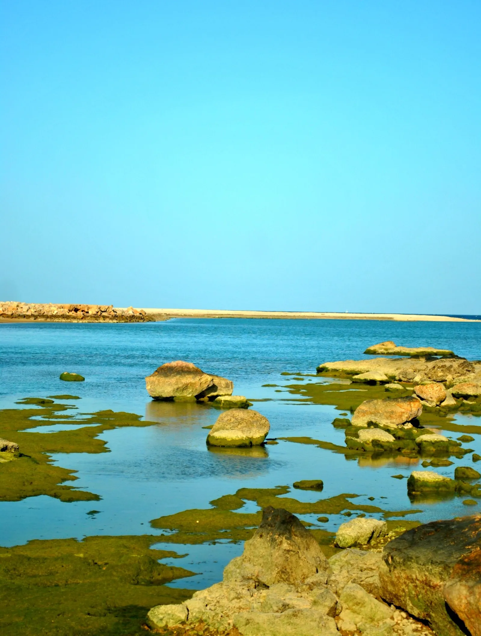Tiwi Beach (Wikimedia Commons)